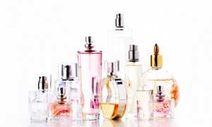 ร้านขายส่ง หัวเชื้อน้ำหอมคุณภาพ เพื่อผู้ประกอบการค้าปลีก “V Paris Perfume”
