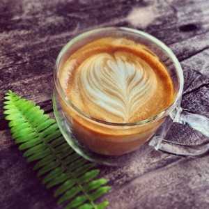ธุรกิจร้านกาแฟ “Lord of coffee house café” ดื่มกาแฟกลางสวน ติดแอร์ธรรมชาติ