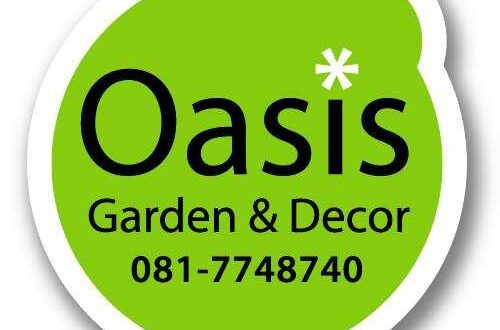 สวนแนวตั้ง สำเร็จรูป ที่แคบๆ ก็เขียวได้ Oasis Garden & décor