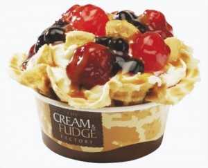 ขายไอศกรีม ไอศกรีมผัดบนกระทะเย็น!! “ครีม แอนด์ ฟัดจ์” ธุรกิจทำเงินอย่างไม่น่าเชื่อ!!! 