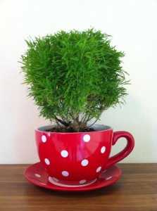 กระถางต้นไม้ ไอเดียธุรกิจจากถ้วยกาแฟ “Cup of Tree” 