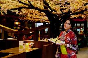 ธุรกิจร้านอาหารญี่ปุ่น คอนเซ็ปกินข้าวใต้ต้นซากุระ MR.Sushi
