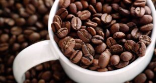 ขายเมล็ดกาแฟ ธุรกิจสร้างรายได้ เพื่อคนรักกาแฟ “ สยามเบส คอฟฟี่ “