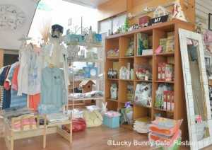 ค่าเฟ่กระต่าย ธุรกิจค่าเฟ่สัตว์เลี้ยงมาแรง Lucky Bunny Café 