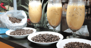 ธุรกิจกาแฟ ปั้นฝันสู่โรงงานผลิตเมล็ดกาแฟขนาดใหญ่ “ ซาลอตโต้ “