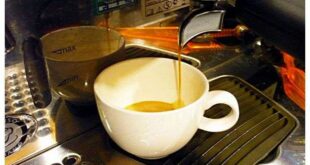 ธุรกิจร้านกาแฟ จิบกาแฟสัมผัสธรรมชาติ โล่ง โปร่ง สบายด้วยดีไซน์ Modern Loft “ร้านกาแฟโรงสี”