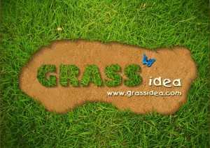 หญ้าเทียม “ Grass ideas “ ไอเดียจำลองสนามหญ้าส่วนตัว รายได้หลักแสนต่อเดือน!!