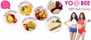อาหารลดความอ้วน ส่งตรงถึงมือทุกวัน ธุรกิจดารา-นางแบบชื่อดัง YO & BEE Diet Foods Delivery 