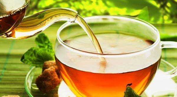 ชาขาว Tree Tea” แฟรนไชส์ตอบโจทย์คนรักสุขภาพ พร้อยลุยขยายสาขาทั่วประเทศ