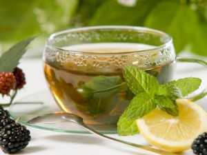 ชาขาว Tree Tea” แฟรนไชส์ตอบโจทย์คนรักสุขภาพ พร้อยลุยขยายสาขาทั่วประเทศ