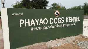 ขายสุนัข ตัวละ 36 ล้าน!!! “ฟาร์มพะเยา ด็อก เคลเนล” พร้อมขายแล้วที่เมืองไทย