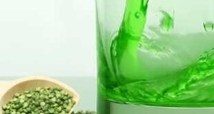 ขายเครื่องดื่ม “น้ำถั่วเขียวกรีนเน่” ดับกระหาย ทำรายได้ด้วยกระแสสุขภาพ
