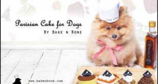 ธุรกิจสัตว์เลี้ยง หน้าตาดีเบเกอรี่สินค้าขายดีสำหรับน้องหมา “Bake n Bone”