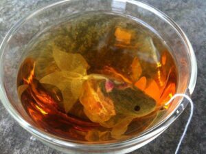 ถุงชาปลาทอง จิบชาชมปลา ไอเดียปลุกกระแสดื่มชา “子村莊園 CHARM VILLA”