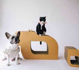 ธุรกิจสัตว์เลี้ยง “ห้องลับเล็บแมว” ต่อยอดธุรกิจครอบครัว “กระดาษลูกฟูก” เตรียมโกอินเตอร์ “kafbo”