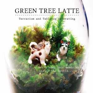 สวนขวดแก้ว สวนจิ๋วไม้มงคล จัดสวนตามราศี งานศิลป์เงินแสน!! “GREEN TREE LATTE”