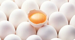 ขายไข่เค็ม ไชยา "มิสสะอาด" ไข่เค็มต้นตำรับ OTOP อร่อยขึ้นห้างฯ