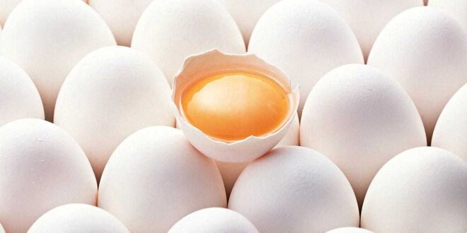 ขายไข่เค็ม ไชยา "มิสสะอาด" ไข่เค็มต้นตำรับ OTOP อร่อยขึ้นห้างฯ
