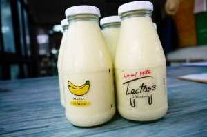ขายไอศกรีมนมสด “ Umm! Milk ” แตกไลน์ธุรกิจใหม่ในเครือฟาร์มโชคชัย