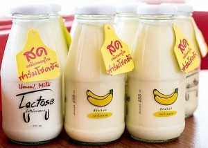 ขายไอศกรีมนมสด “ Umm! Milk ” แตกไลน์ธุรกิจใหม่ในเครือฟาร์มโชคชัย