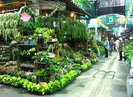 ตลาดนัดธนบุรี (ตลาดนัดสนามหลวง 2) ตลาดต้นไม้ที่ใหญ่ที่สุดแห่งหนึ่งใน กทม.