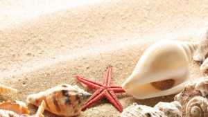 ไอเดียธุรกิจ เปลี่ยนขยะเปลือกหอยเป็น “ปูนธรรมชาติ” สร้างรายได้