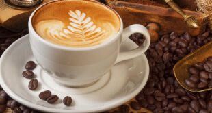 ขายกาแฟสด “Horizon Café”เมล็ดกาแฟคัดพิเศษพร้อมบริการสอนและจำหน่ายอุปกรณ์ครบครัน