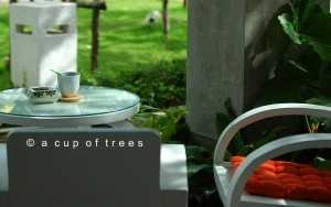 ร้านกาแฟ “A cup of trees” ธุรกิจกาแฟรสเข้มหอมกรุ่น ทำเลดีหน้าตลาดต้นไม้ธัญศิริ