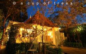ร้านกาแฟ “A cup of trees” ธุรกิจกาแฟรสเข้มหอมกรุ่น ทำเลดีหน้าตลาดต้นไม้ธัญศิริ