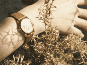 ขายนาฬิกาข้อมือแฮนด์เมด “Pikul” สินค้าไอเดียเจาะตลาดวัยรุ่นด้วยหน้าปัดไม้บีช