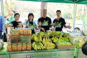 กล้วยหอมทอง “สหกรณ์การเกษตรท่ายาง” กู้วิกฤติการส่งออกด้วยการเสิร์ฟคนกรุงพร้อมทาน