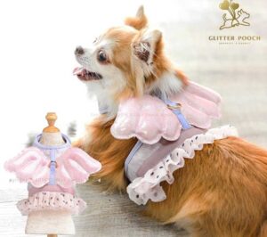 ธุรกิจเสื้อผ้าสุนัข “Glitter Pooch” เสื้อสวยพร้อมสายจูง เสร็จสรรพในชุดเดียวเจ้าแรก