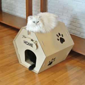 ไอเดียธุรกิจ บ้านแมวกระดาษลูกฟูก “Catty Craft” ยอดขาย 1 แสนต่อเดือน