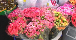 ตลาดดอกไม้ปากคลองตลาดใหม่ ศูนย์กระจายดอกไม้ 50 ไร่ เปิดขาย 24 ชั่วโมง
