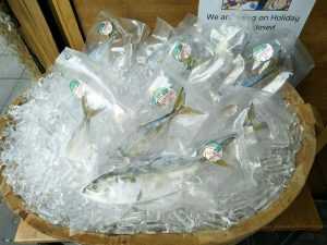 แฟรนไชส์ “ปลาทู 168” ขายปลาทูตัวละ 20 บาท คืนทุนไวเกินคาด