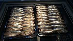 แฟรนไชส์ “ปลาทู 168” ขายปลาทูตัวละ 20 บาท คืนทุนไวเกินคาด