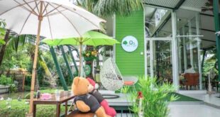 ไอเดียร้านกาแฟในสวน O2 Kaffee&Bistro คาเฟ่สวนมะพร้าวน้ำหอม