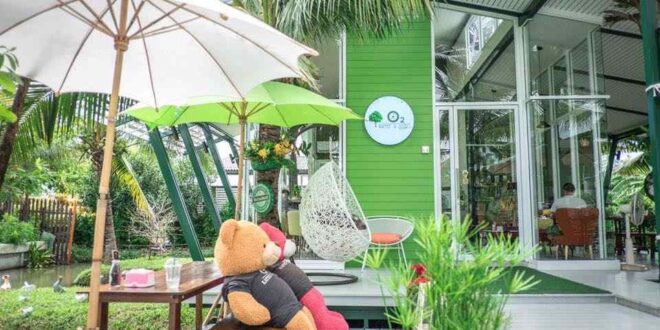 ไอเดียร้านกาแฟในสวน O2 Kaffee&Bistro คาเฟ่สวนมะพร้าวน้ำหอม