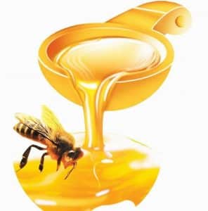 น้ำผึ้งแท้จากฟาร์ม